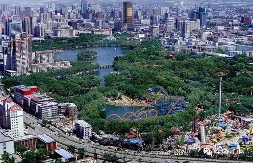 国产又粗又大又黄