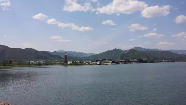 国产又粗又大又黄