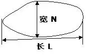 国产又粗又大又黄